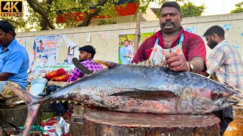 KASIMEDU SPEED SELVAM 20 KG GIANT TUNA FISH CUTTING IN KASIMEDU