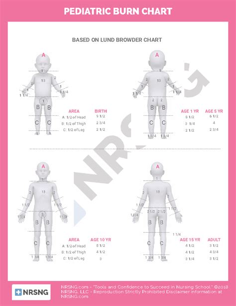 Pediatric Burn Chart Cheat Sheet Nurs 150 Pediatric Burn Chart Based On Lund Browder Chart A