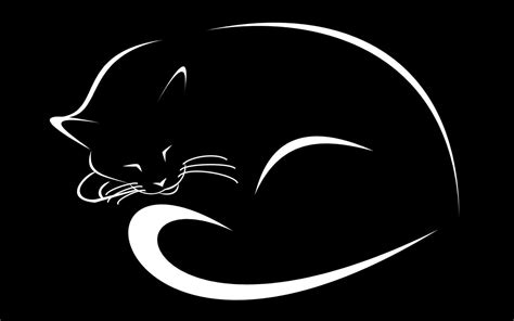 Gambar Kucing Hitam Wallpaper