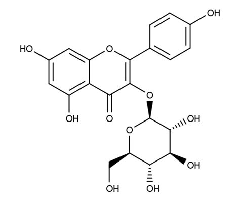 Kaempferol 3 O Glucoside 1243 S CAS 480 10 4 Flavonol Extrasynthese