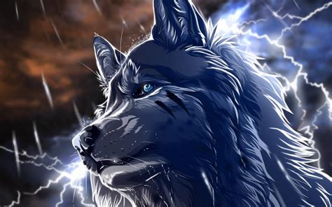 White Spirit Wolf Wallpapers Top Free White Spirit Wolf Backgrounds