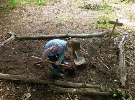 51b Environmental Impact • Forest Schools In Northern Ireland