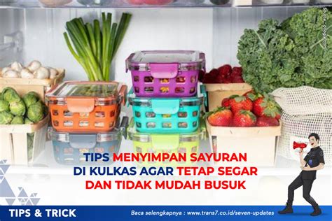 Trans7 Tips Menyimpan Sayuran Di Kulkas Agar Tetap Segar Dan Tidak