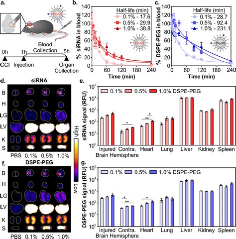 Analysis Of Peg Lipid Anchor Length On Lipid Nanoparticle