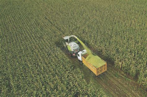 Self Propelled Harvester On Maize Cutting For Silage Forage Harvester