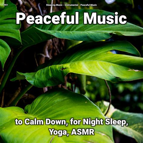 Peaceful Music To Calm Down For Night Sleep Yoga Asmr Album By