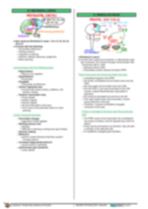 Solution Neurology Physiology Cerebrum Frontal Lobe Anatomy Function