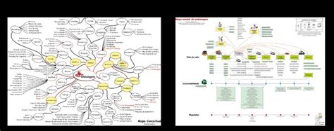 Mapas Mentais Sobre Futebol Study Maps Experimente A Emo O Do Jogo