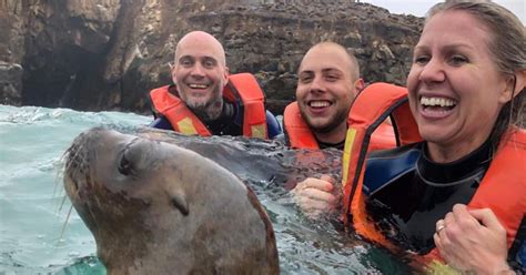 Desde Lima Excursión Islas Palomino Bahía Del Callao Medio Día