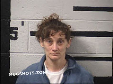 Putman Lindsey Ann Transylvania County Mugshots Zone