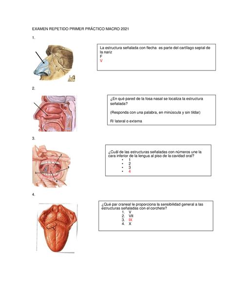 Examen Repetido Primer PRÃ Ctico Macro 2021 EXAMEN REPETIDO PRIMER