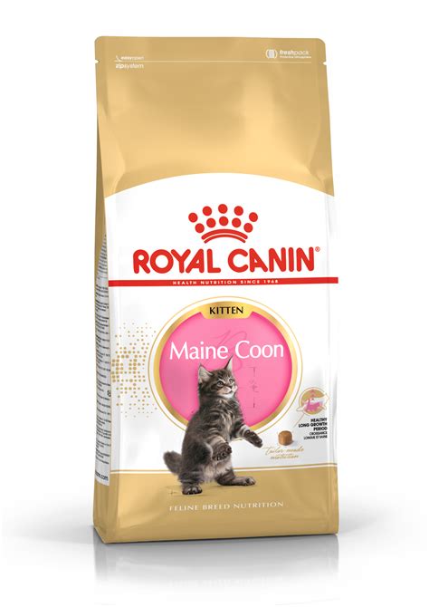 Maine Coon Kitten Dry Royal Canin