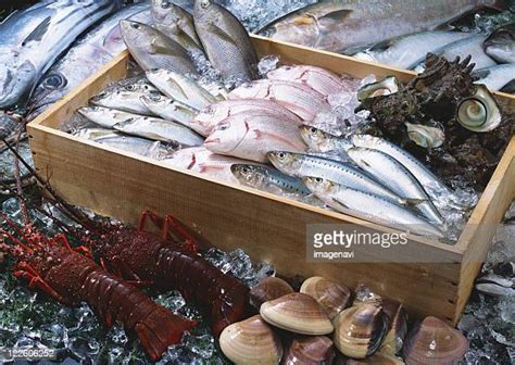 Fish Crates Photos And Premium High Res Pictures Getty Images