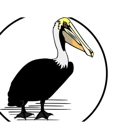 Pelican Png Svg Clip Art For Web Download Clip Art Png Icon Arts