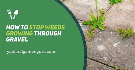 How To Stop Weeds Growing Through Gravel