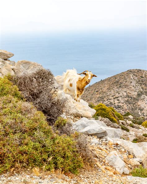 Best Things To Do In Amorgos Discover Greece