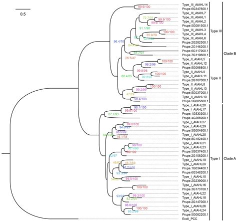 Dissection Of At Hook Motif Nuclear Localized Genes And Their Potential