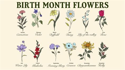 Birth Month Flowers What Is My Birth Flower Month Flowers