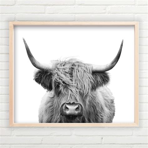 Buy Highland Cow Wall Art Unframed 11x14 Inch Farmhouse Print Fine