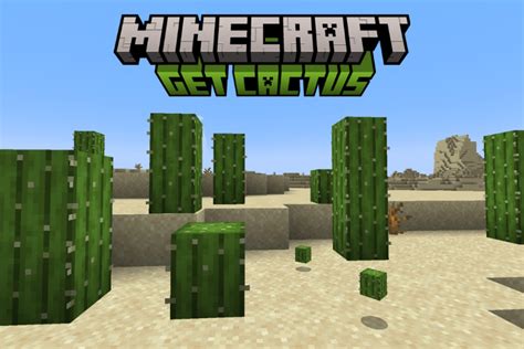 How To Get Cactus In Minecraft Beebom