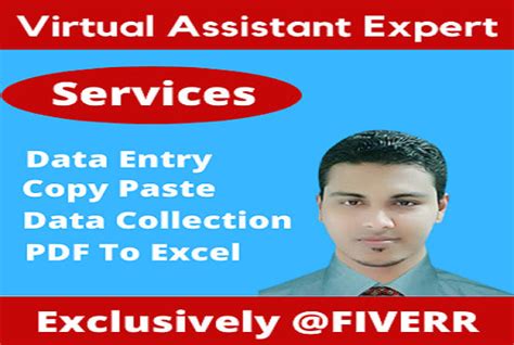 Do Perfect Data Entry Copy Paste Pdf To Excel By Rajushil Fiverr