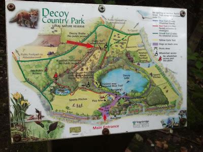 Camping and Exploring with Dogs: Decoy Country Park - Newton Abbot