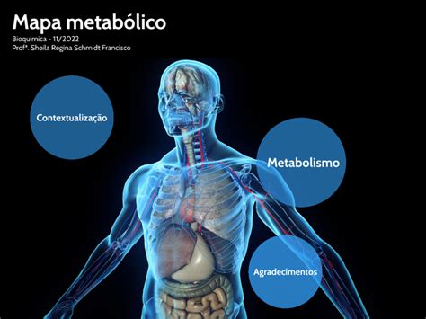 Mapa Metabólico Bioquímica By Luiz Roberto Leicht On Prezi