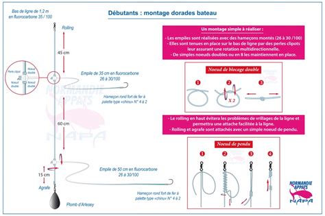 Calmezvous Jet E Du Pont Consid Rer Technique De Peche A La Dorade