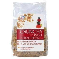 Biotobio Fsc Crunchy Con Avena E Frutti Rossi Bio Ad Alto Contenuto Di