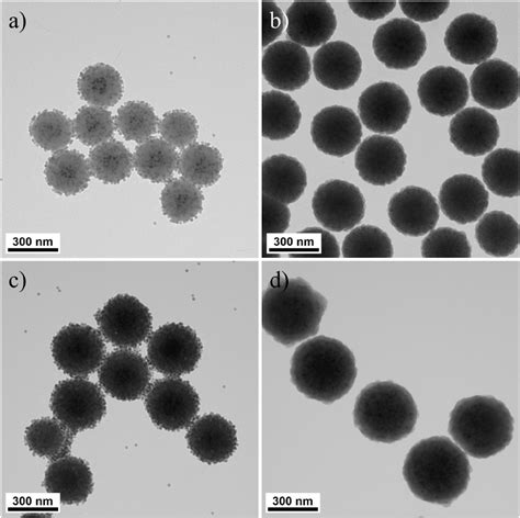 Transmission Electron Microscopic Tem Images Of The Prepared