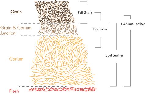 A guide to leather grades - CreateLab