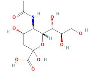 Physiological Function And Preparation Of N Acetylneuraminic Acid