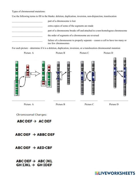 Chromosomal Mutations Worksheet Live Worksheets Worksheets Library