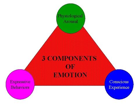 Physiological Arousal 3 COMPONENTS OF EMOTION Expressive Behaviors