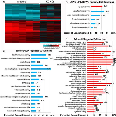 Altered Gene Expression And Go Functions In Sei And Kcnq Mutant Hearts