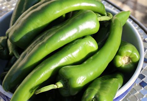 Greenchile5div3392 A Bowl Of Long Green Chiles Getting Flickr