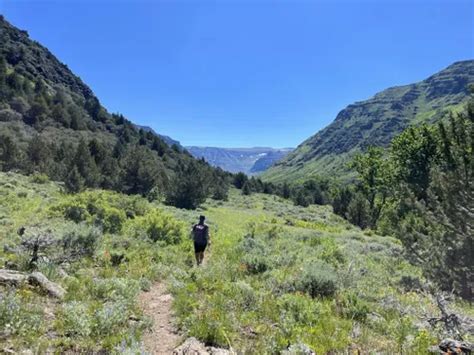 Best Hikes and Trails in Steens Mountain Wilderness | AllTrails