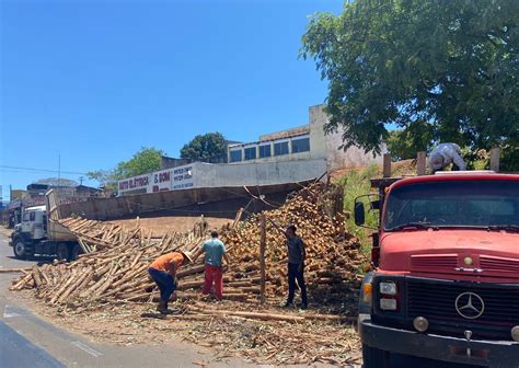 Motorista salta de caminhão carregado toras de eucalipto em