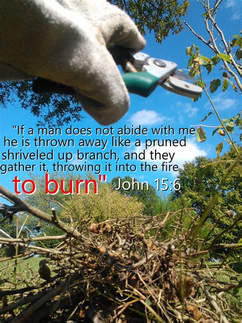 John 156 Pruning If A Man Does Not Abide With Me He Is T Flickr