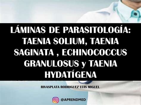 PARASITOLOGÍA LÁMINAS DE TAENIA SOLIUM TAENIA SAGINATA ECHINOCOCCUS