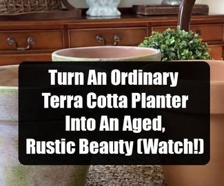 Of The Best Good Morning Gifs And Animations Terracotta Planter