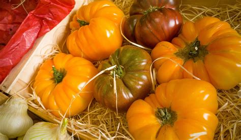 картинки : фрукты, Пища, производить, Овощной, Тыква, помидор, овощи ...