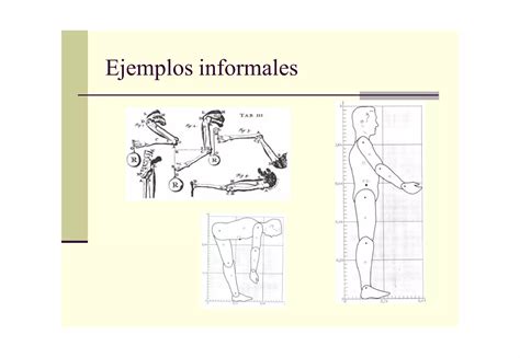 Introduccion A La Biomecanica PPT Descarga Gratuita