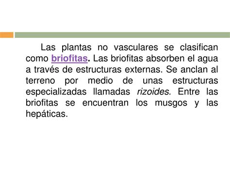 Ppt Las Plantas Vasculares Y No Vasculares Powerpoint Presentation Id 231402