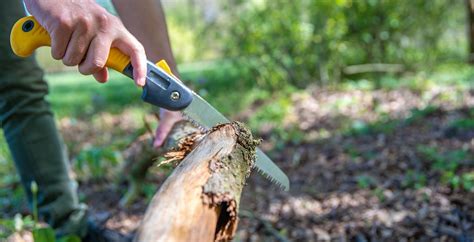 The 11 Best Pruning Saws Minneopa Orchards Atelier Yuwa Ciao Jp