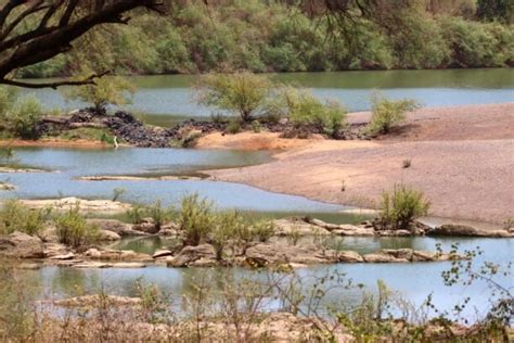 Parc National Du Niokolo Koba Senegal Voyageavecnous