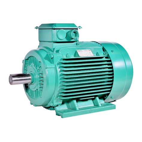 Leroy Somer IE3 High Efficiency Motor Winston Engineering Corporation