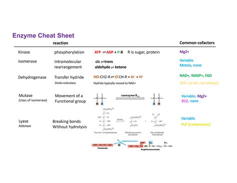 Enzyme Cheat Sheet Warning Tt Undefined Function Warning