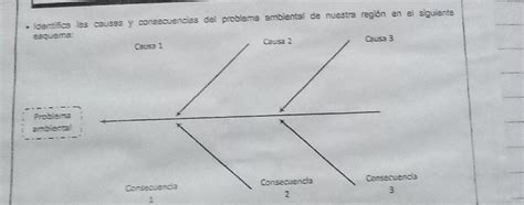 Identifica Las Causas Y Consecuencias Del Problema Ambiental De