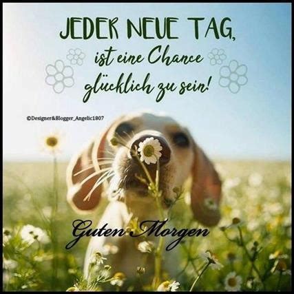 ᐅ Guten Morgen Bilder Neu - GB Pics - GBPicsBilder